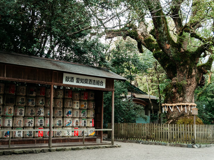 Wall of ceremonial sake barrels next to sacred tree spotted during 10 day Japan itinerary.