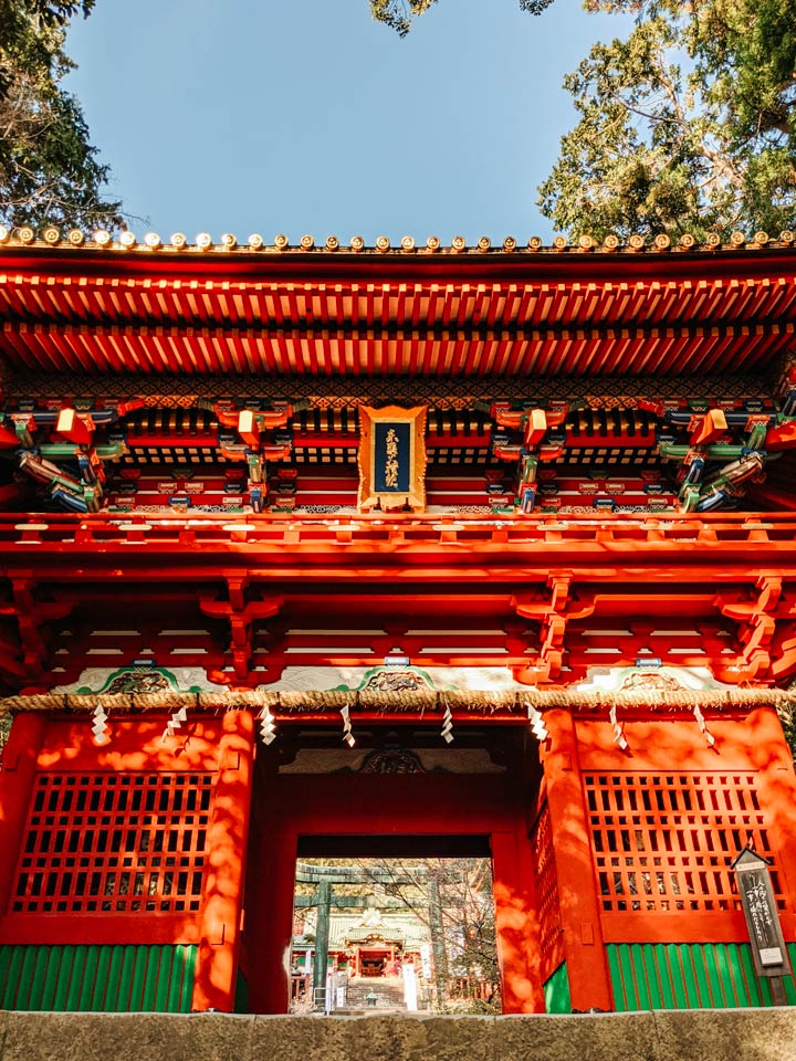 Close-up view of ornate carvings on wooden gate of Kunozan Toshogu shrine.