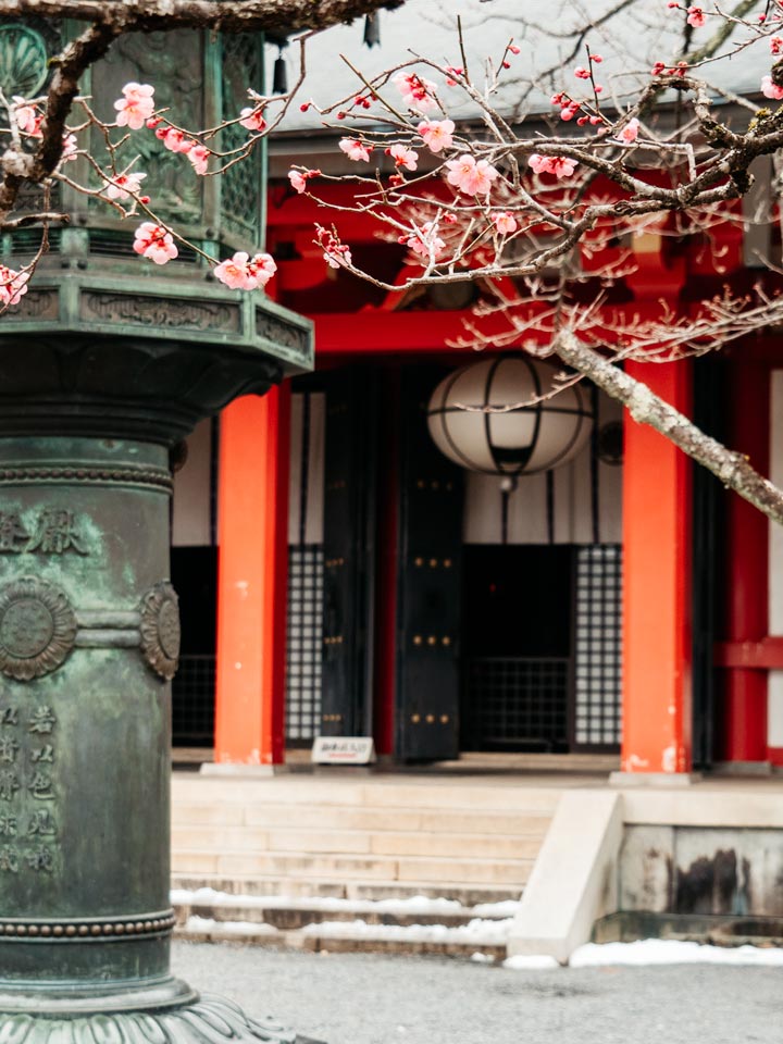 Kuramadera entrance with lantern and cherry blossoms