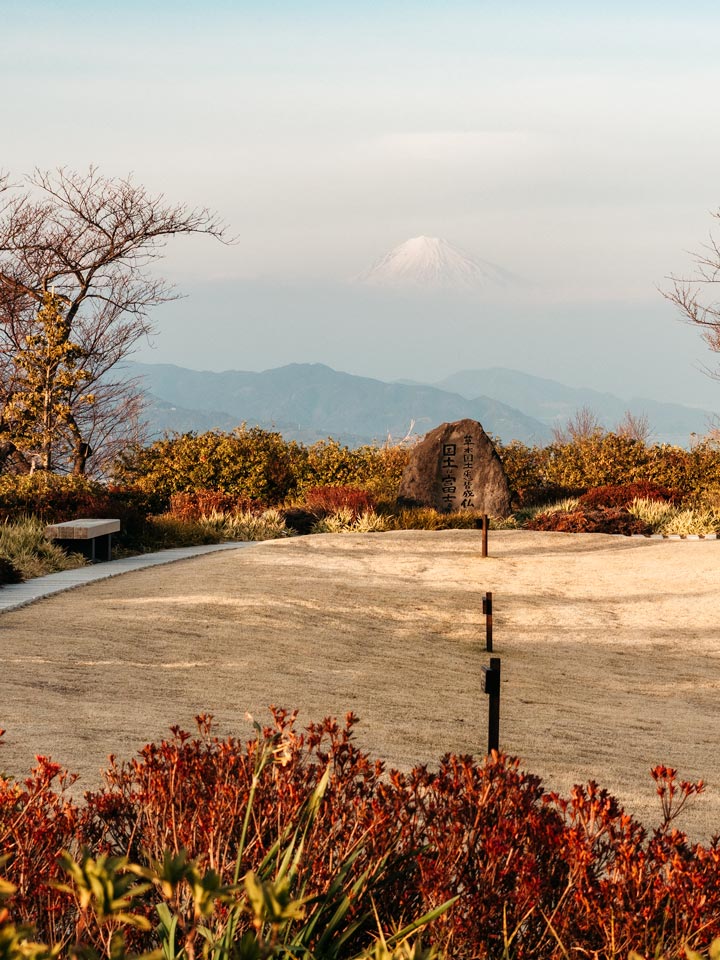 View of Mount Fuji peak from overlook point, with brown grass and red plants in foreground.