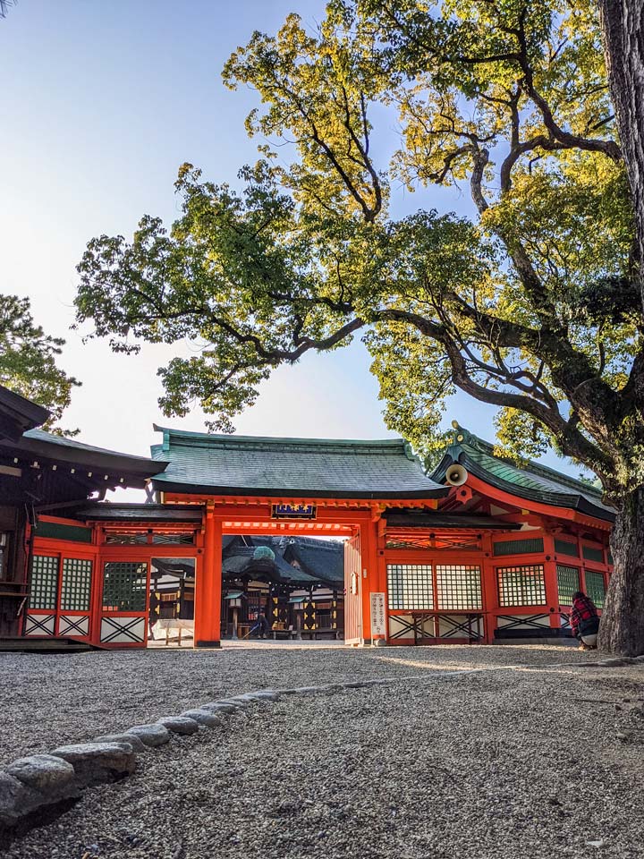 Osaka Sumiyoshi Taisha temple gate with tree at sunrise.