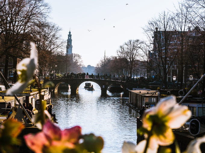 View of Amsterdam canal with bridge in distance and flowers in foreground.