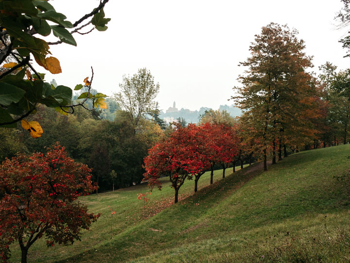 Bologna Villa Ghigi park hill with row of red trees.