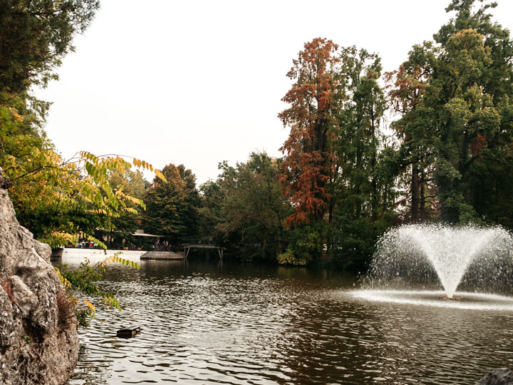 Pond with fountain surrounded by autumn trees.