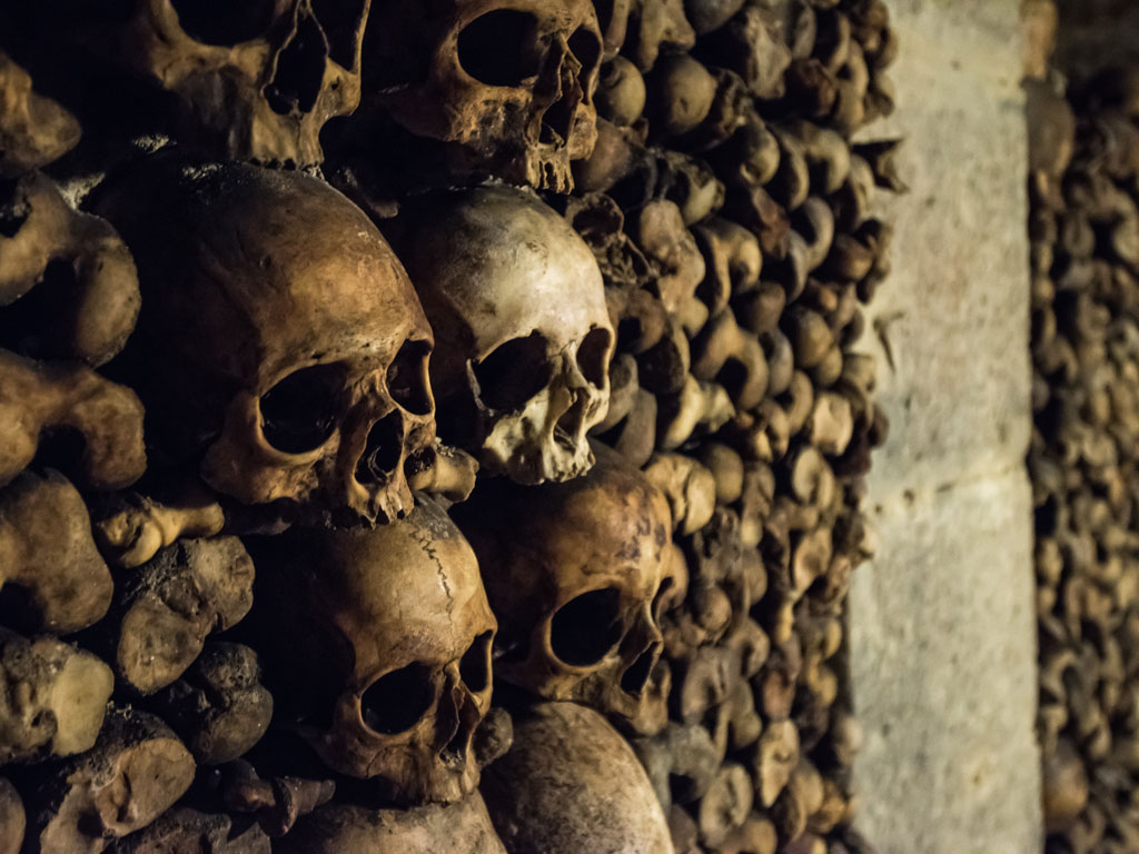 Close-up view of skulls inside Paris catacombs.