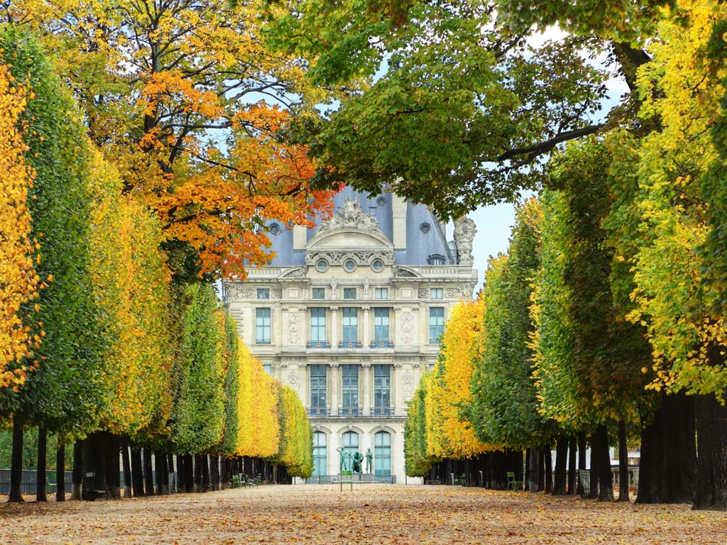 View of Paris Tuileries Garden at autumn with street lined with rows of trees.