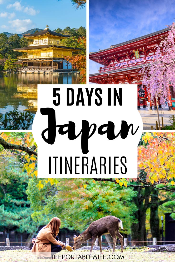 5 Day Japan Itinerary Ideas to Suit Any Travel Style - The Portable Wife