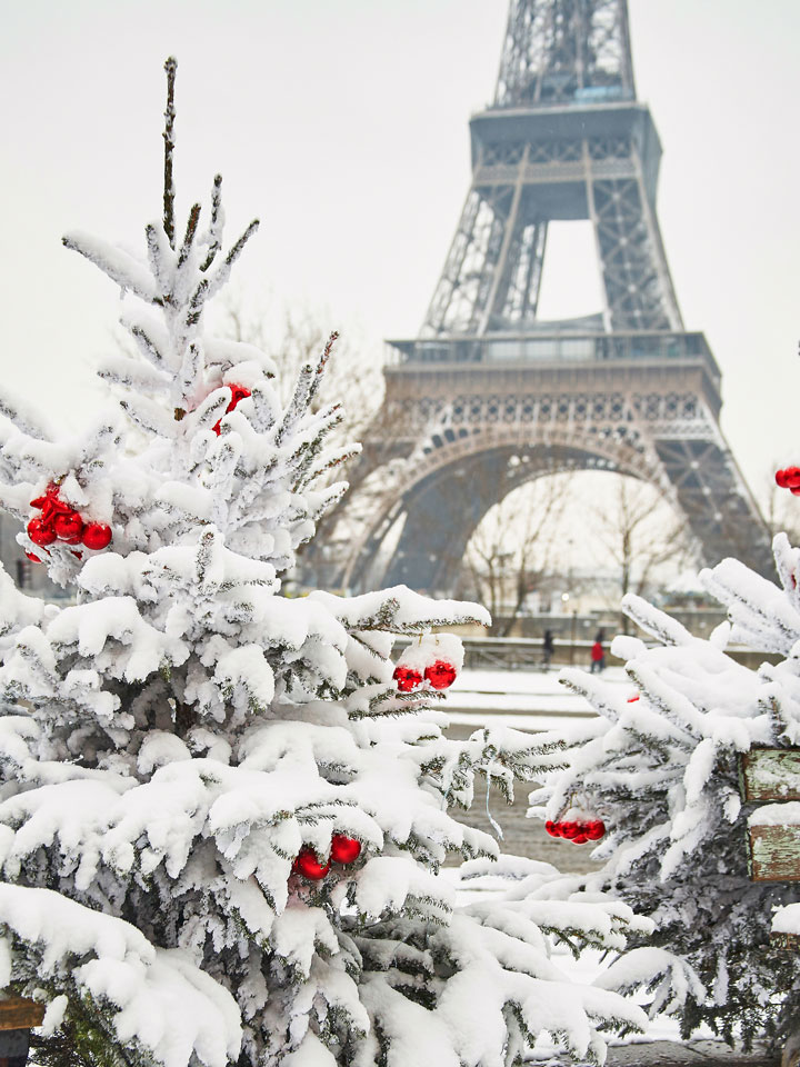 Snowy pine trees with red ornaments in front of Eiffel Tower winter in Paris.