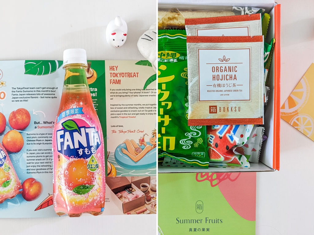 Tokyo Treat Review: Japanese Subscription Box