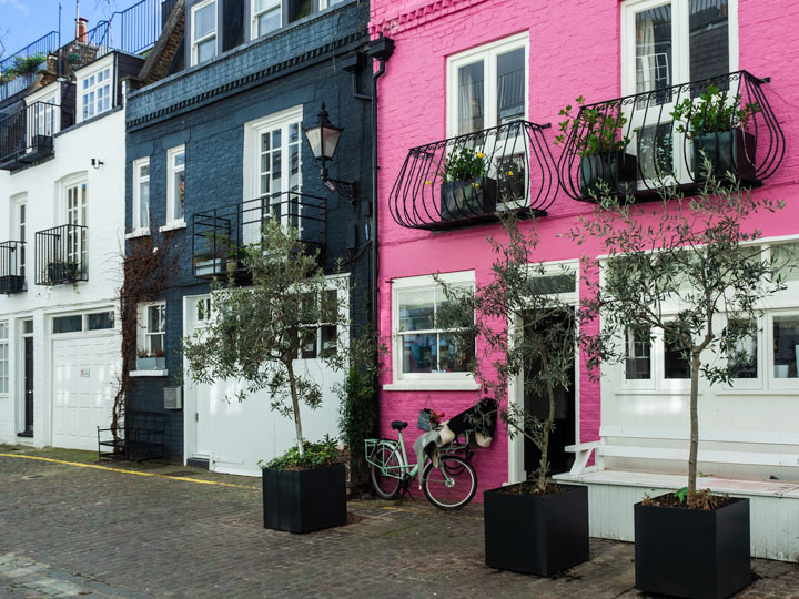 Facades of pink and blue London mews houses.