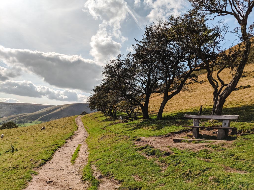 Dirt path through farmland next to trees in UK Peak District.