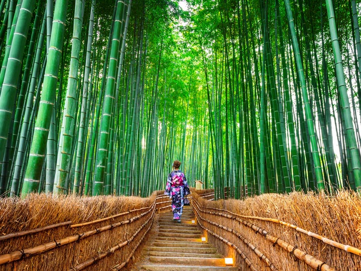 Girl in kimono walking through Arashiyama bamboo forest path.