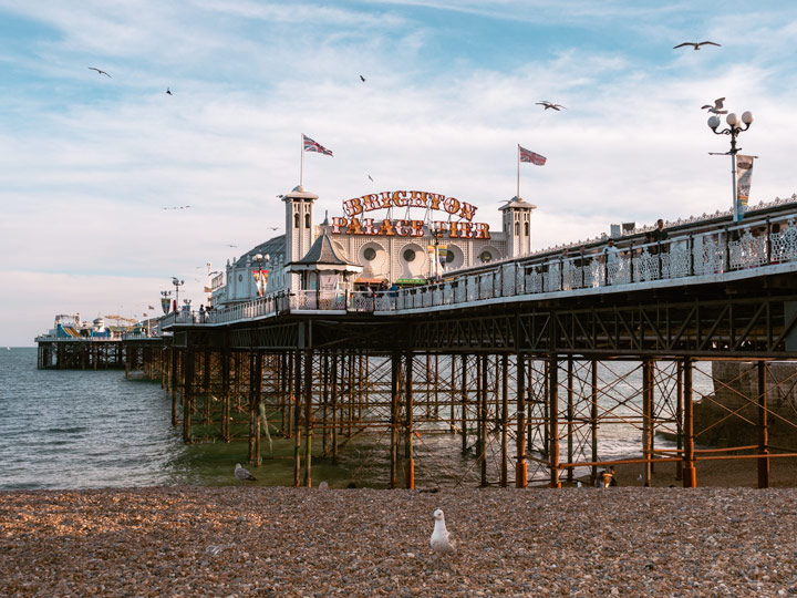 Brighton Pier at sunset with seagull on beach.