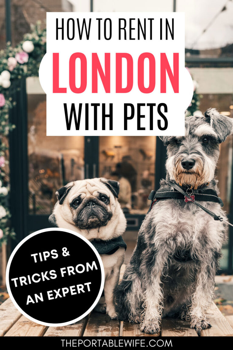 How to Find Pet Friendly Apartments in London The Portable Wife