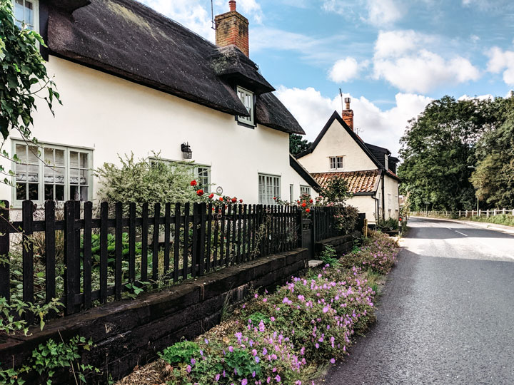 Two white thatched roof cottages with purple flowers next to street