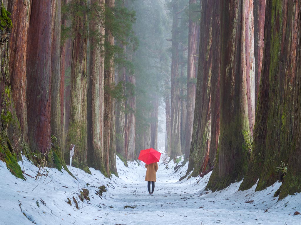 Woman with red umbrella walking through forest in Japan off the beaten path.