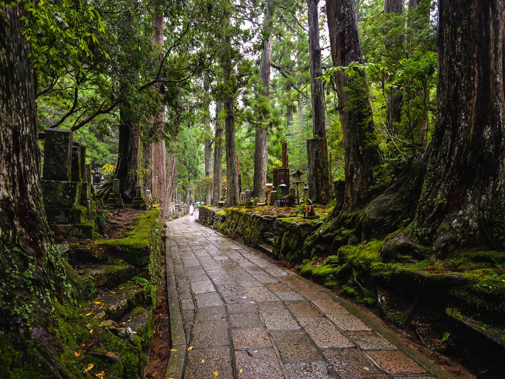 Brick path leading through mossy rocks and tall trees in Mt. Koya.