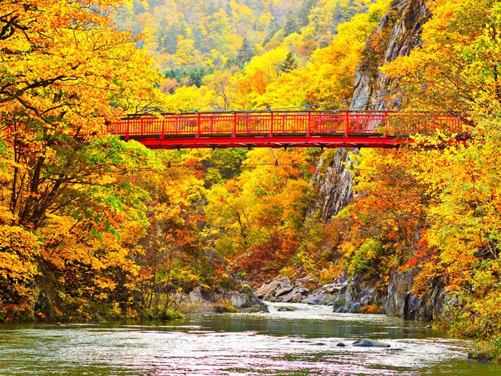 Red bridge over gorge in Japan park during autumn.