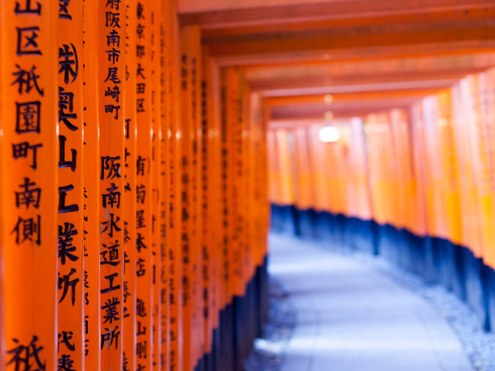 Orange torii gates with black writing at Fushimi Inari shrine.