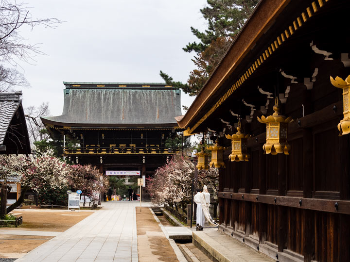 Kitano Tenmangu shrine with gold lanterns and path leading to main wooden gate.