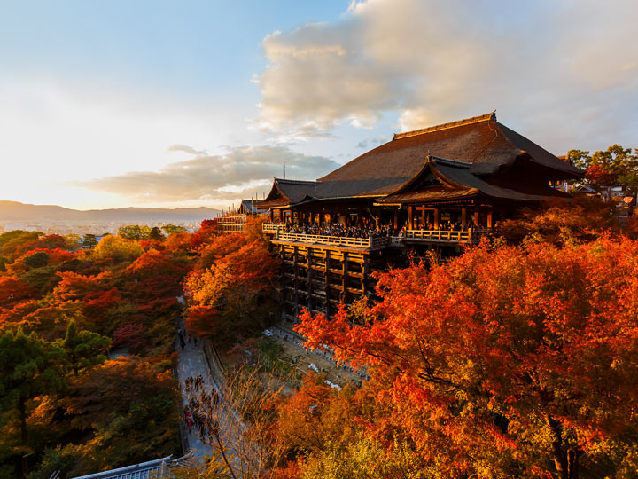 Orange and red autumn trees surrounding Kiyomizu-dera main hall at sunset.