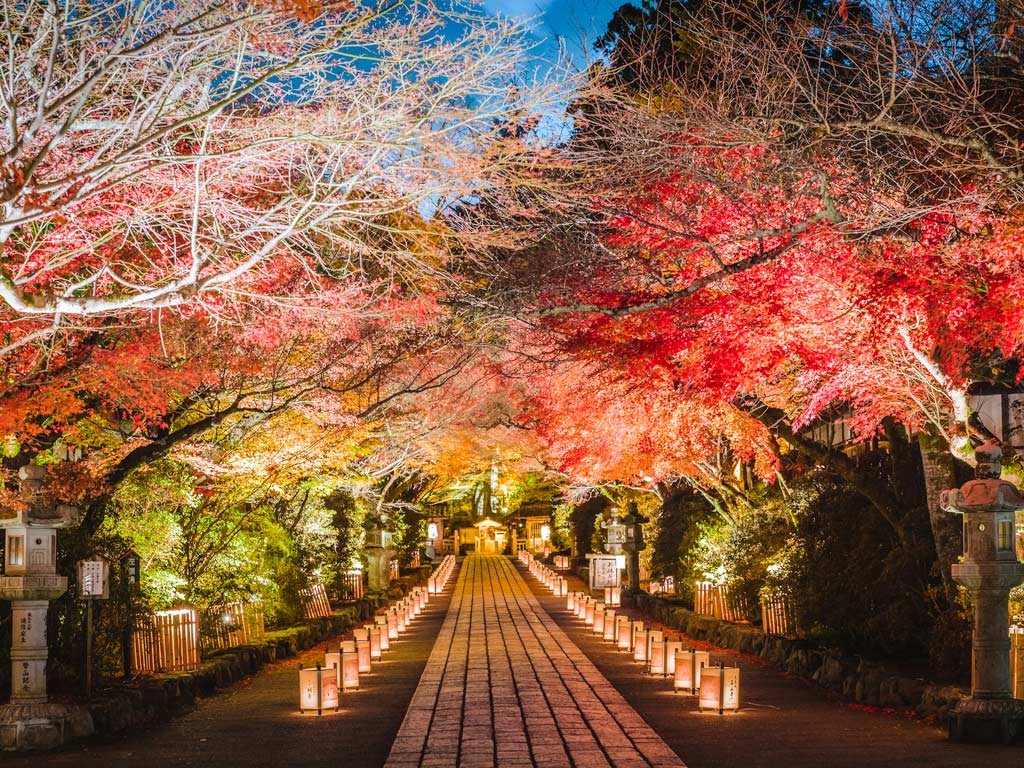 Ishiyamadera temple at night with autumn leaves and path lined with paper lanterns.