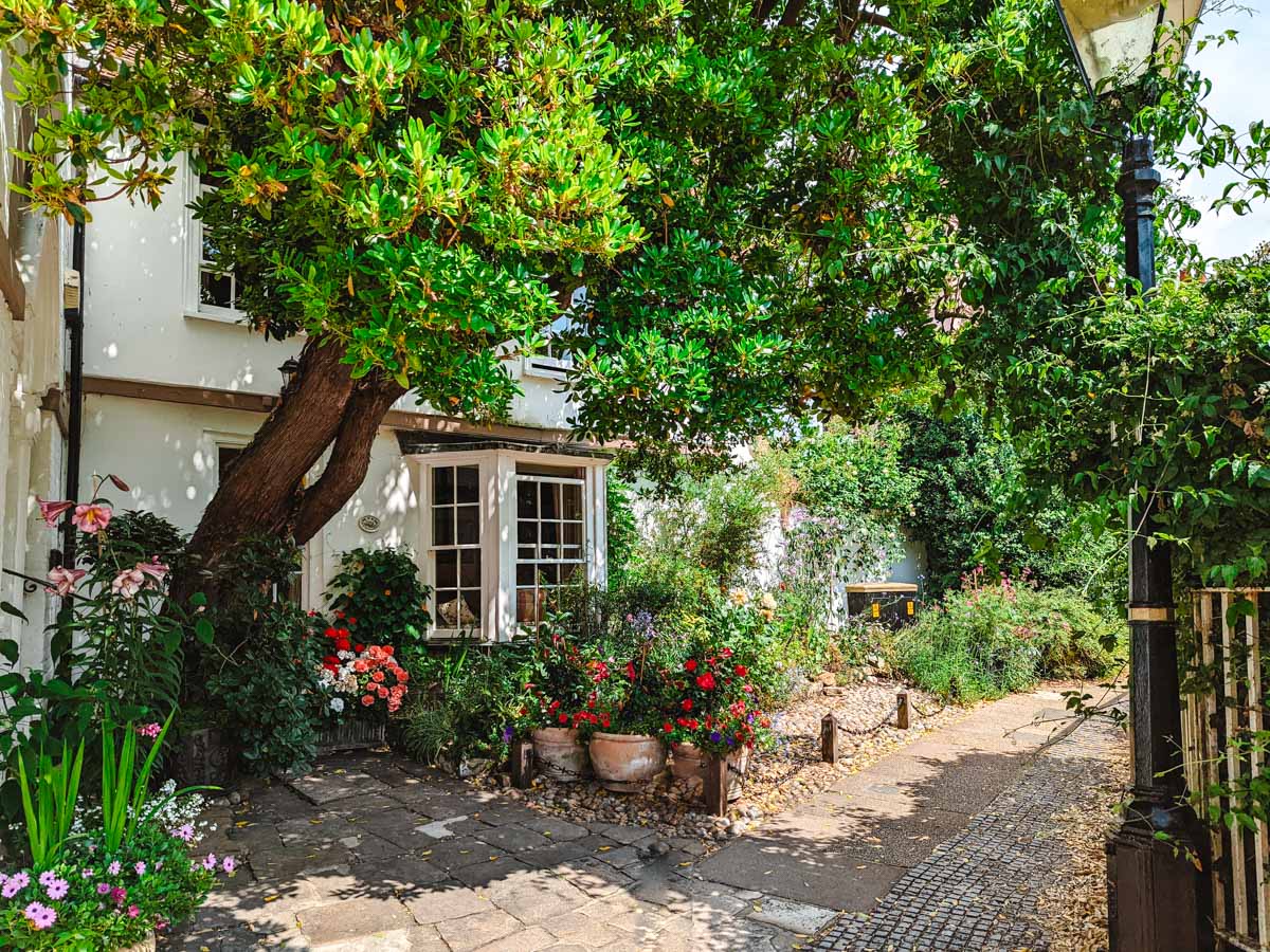 White Edwardian house of someone living in England with flower pots and tree in front.