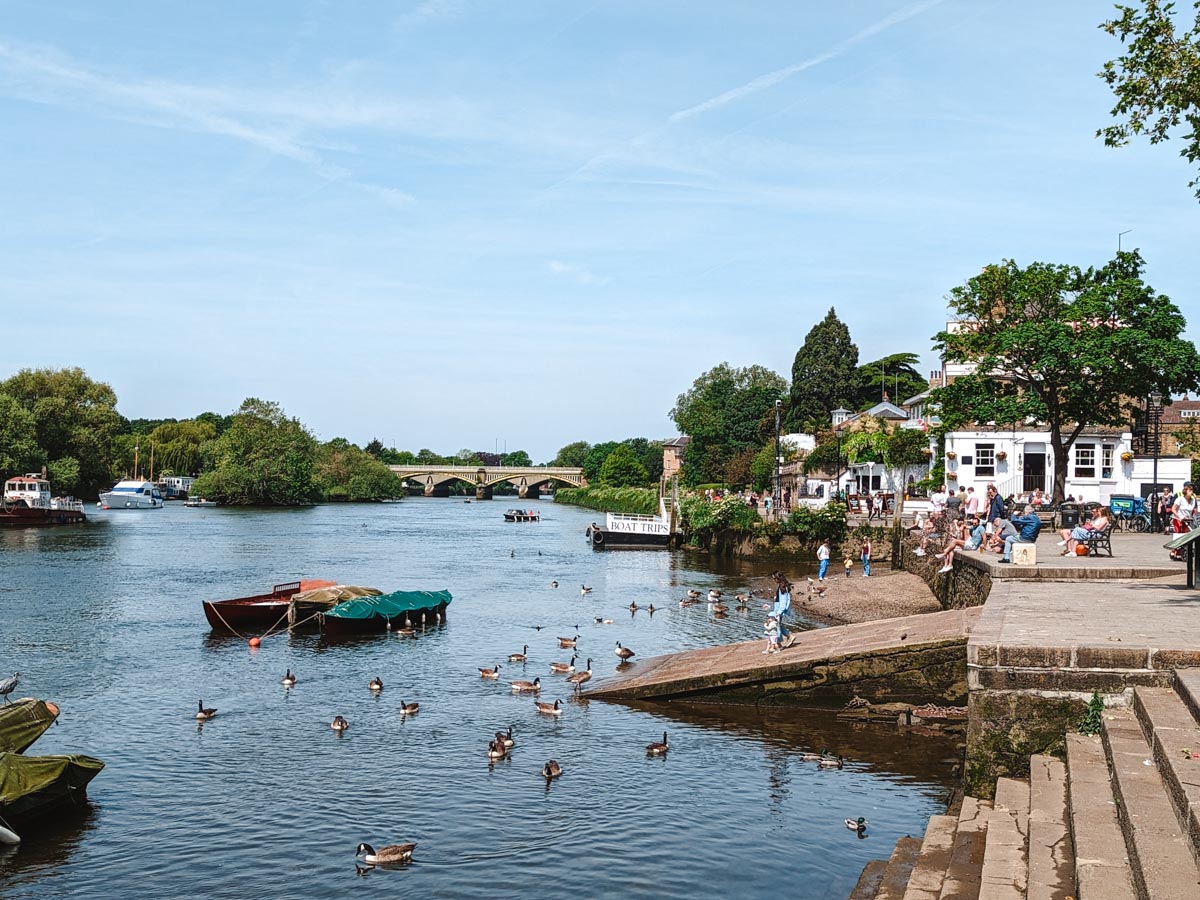 Bank of the River Thames with geese and boats in water, and people sitting in chairs.