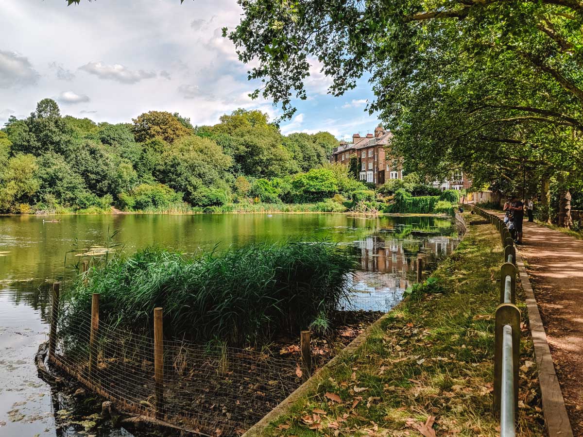 Walking path alongside large tree-lined pond in Hampstead Heath.