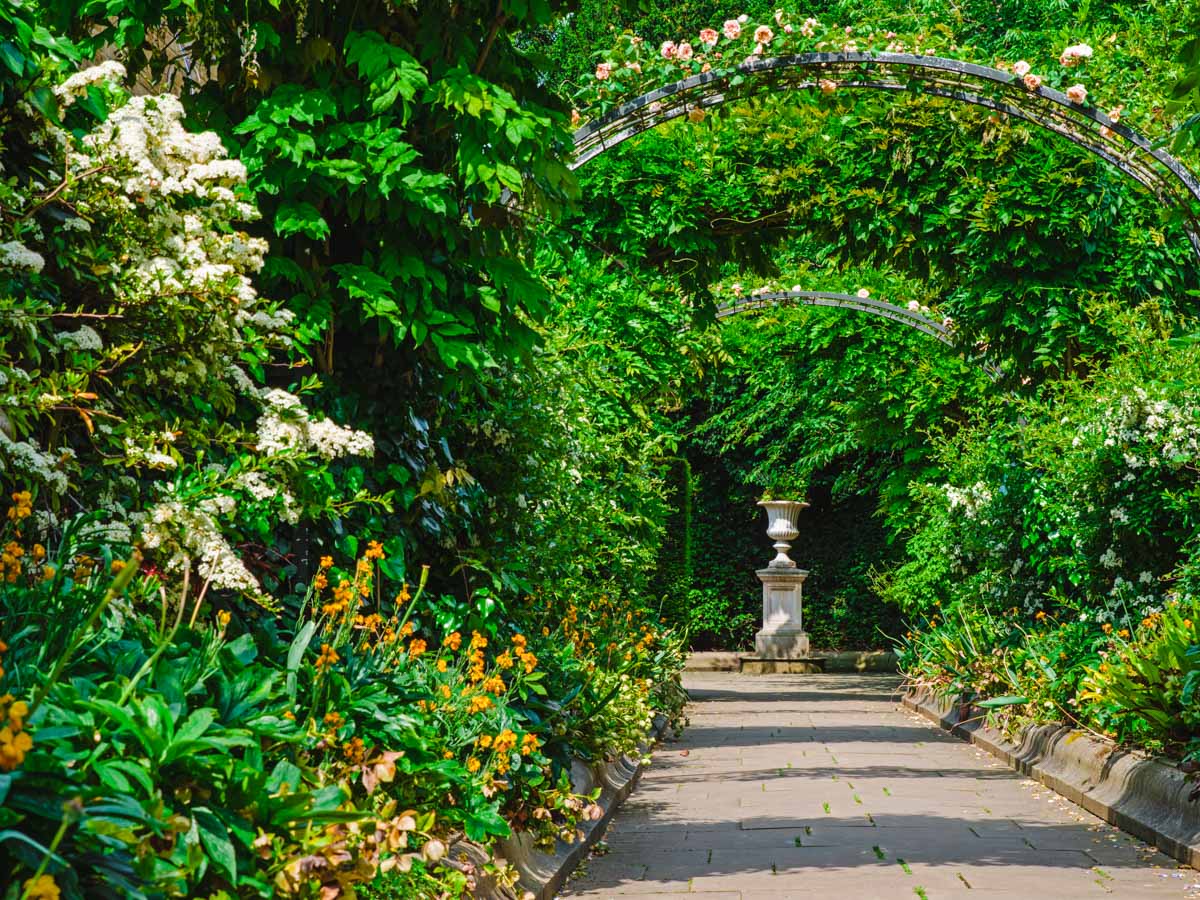 Leafy walking path with flowering arch leading through Regent's Park London.