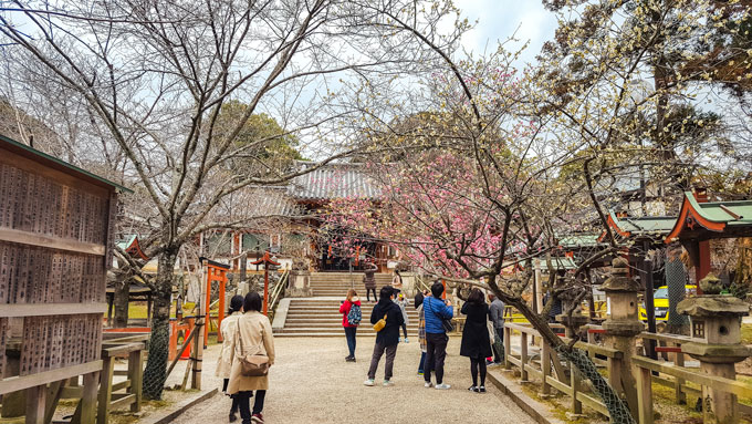 Nara Day Trip Itinerary: The Magical Deer City of Japan - The Portable Wife