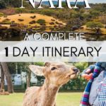 Nara Day Trip Itinerary