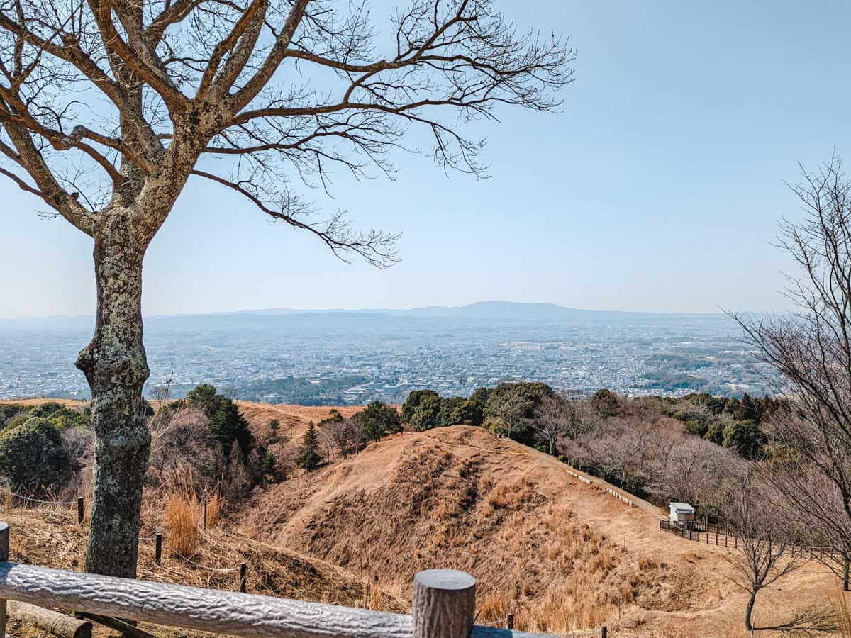 Panoramic view over Nara from Mt Wakakusa with hills and trees in foreground.