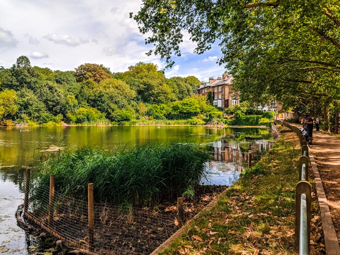 Hampstead Heath pond reflecting trees, swimming here is one of the unique things to do in London.