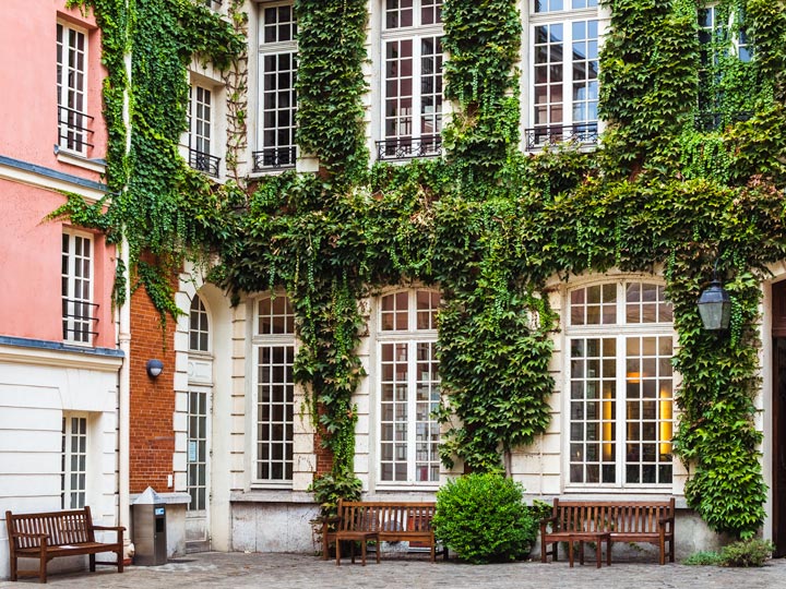 Pink building facade covered in ivy in Le Marais, a secret Paris attraction.