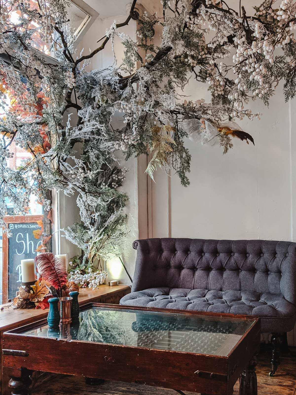 Interior of non touristy London cafe with tufted sofa, glass topped coffee table, and winter branch display.