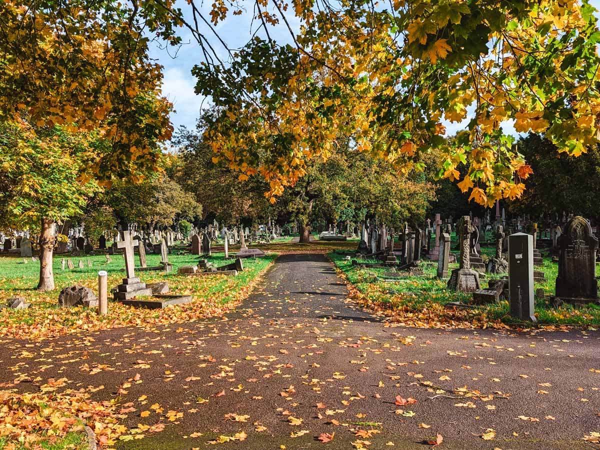 Pathway leading through Putney Vale Cemetery lined with tombstones and autumn foliage.