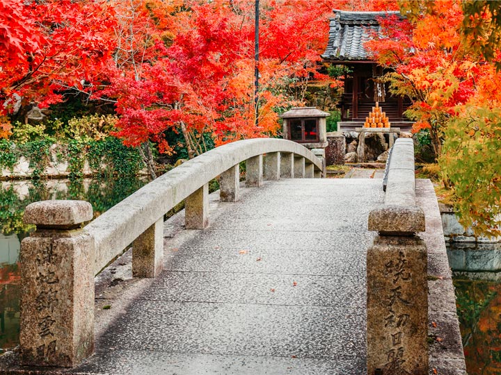 Eikan-do Zenrin-ji stone bridge leading to temple with red maple trees.