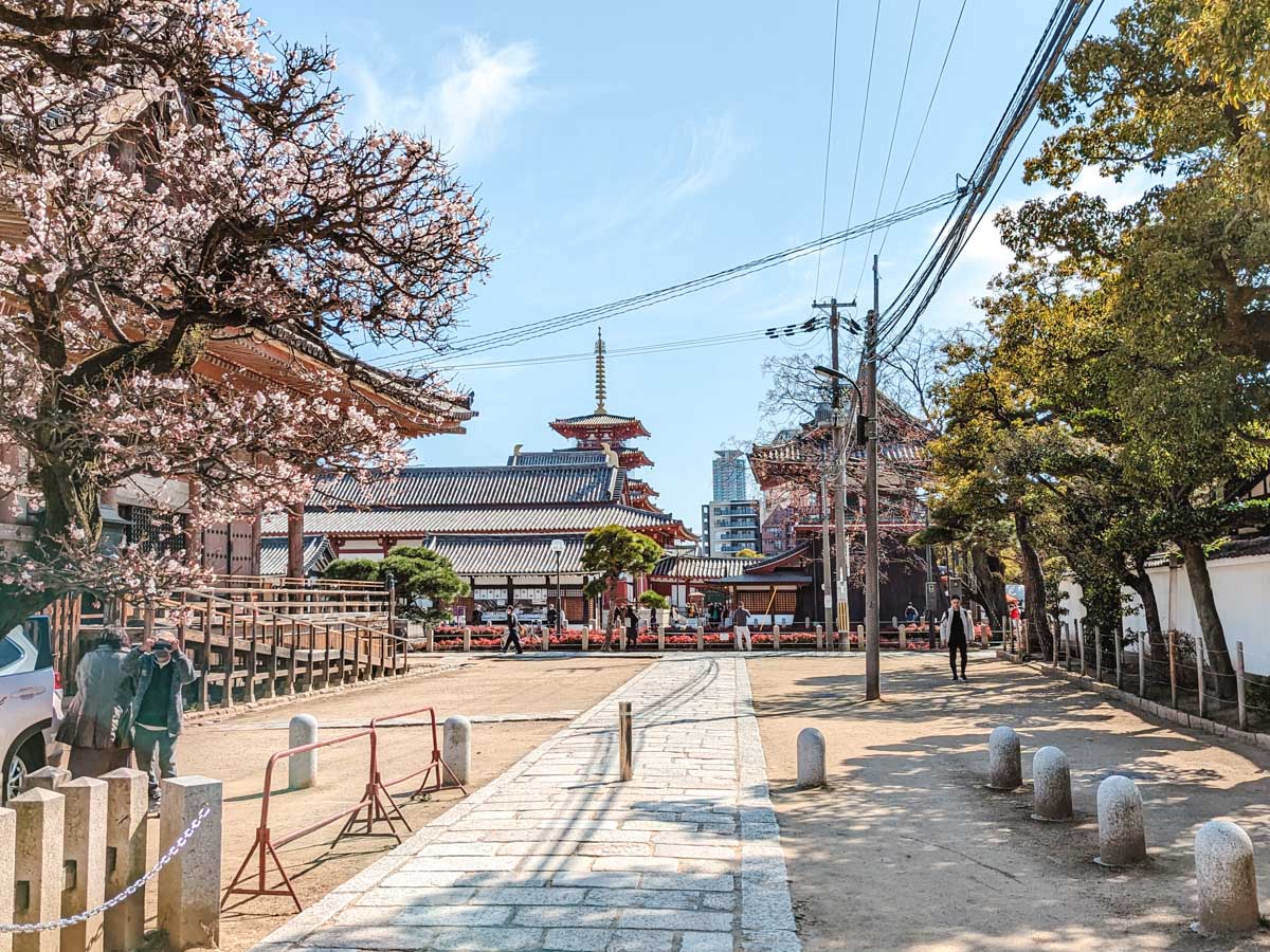 Walking path outside Osaka Tennoji Park with sakura trees and pagoda in distance.