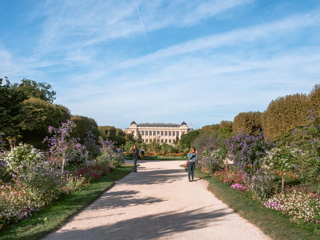 Pathway between garden flowers and bushes.