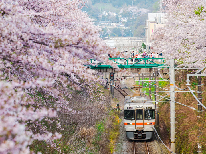 Savor the Journey 7 Places to Visit Between Tokyo and Kyoto The