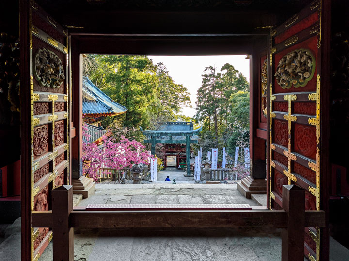 Shizuoka Kunozan Toshogu shrine doors with view to torii gate.