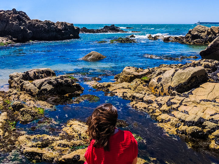 Girl sitting at Castelo do Queijo Beach with ocean view.