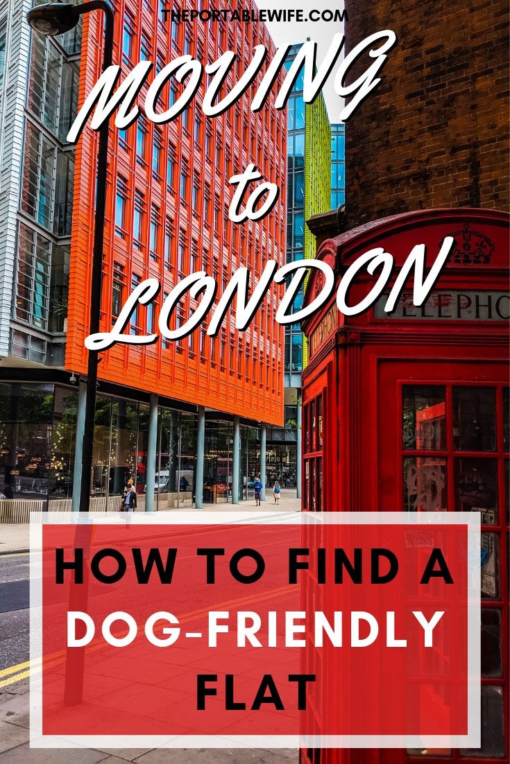 Renting in London With a Dog What You Should Know The Portable Wife