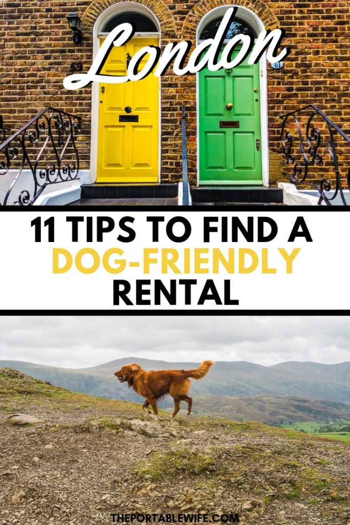 Collage of yellow and green doors and dog running, with text overlay - "London: 11 tips to find a dog-friendly rental".
