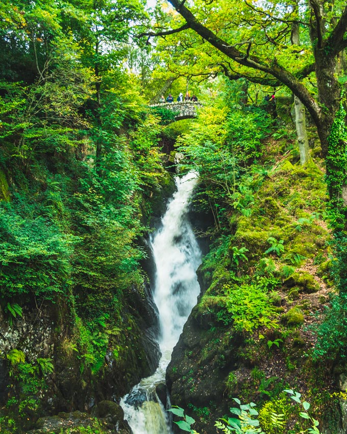 Aira Force waterfall running between trees and vegetation.