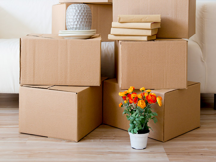 Stacked moving boxes with vase, plant, and books for settling into a new country.