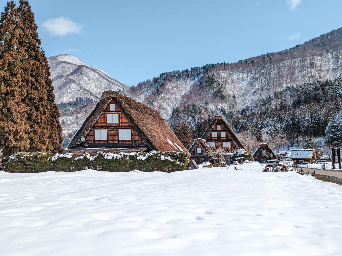 Front view of Shirakawago Three Houses in winter with snowy field in foreground.