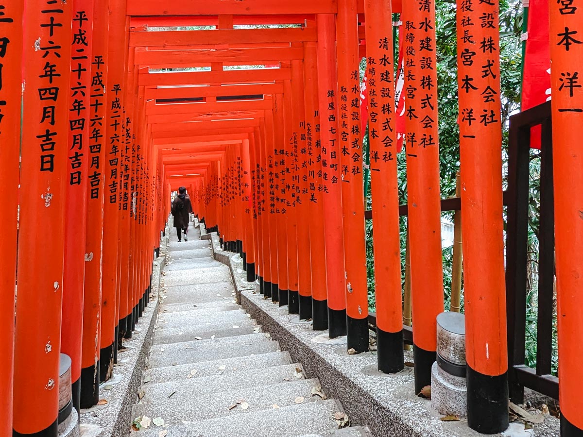 Person walking down stairs lined with dozens of vermillion torii gates.