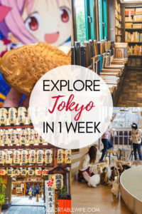 Tokyo Itinerary: 6 Days Of Sightseeing And Hidden Gems - The Portable Wife